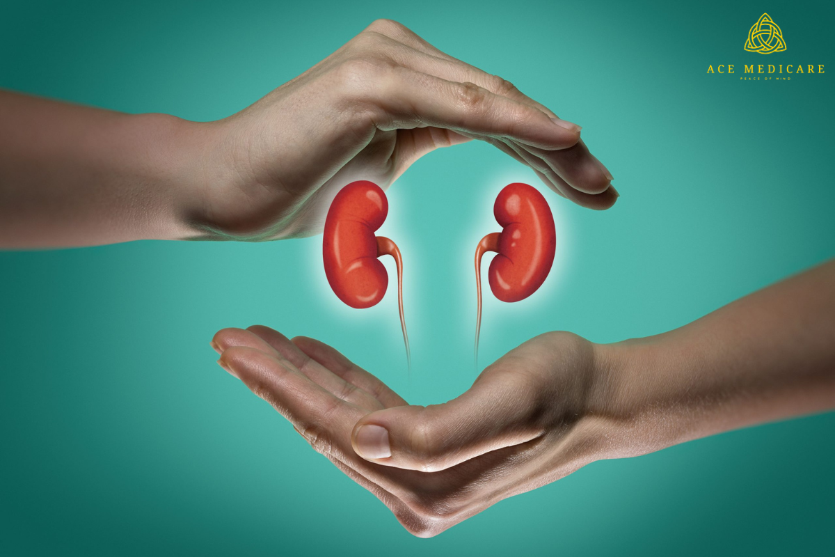 Explained: How Kidney Transplants Bring Hope and a New Lease on Life